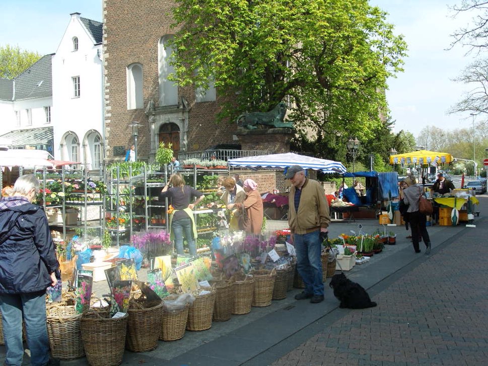 Scene of open air market