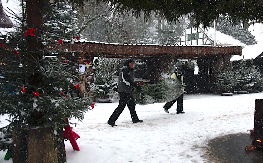 Two men with Christmas tree in snow